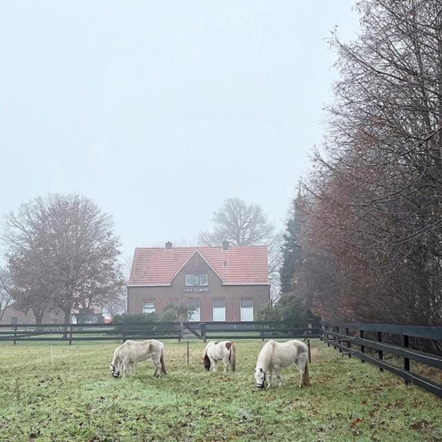 Hoeve De Snippert Groenlo Exterior photo